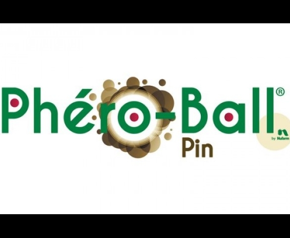 Technologie Phéro-Ball Pin