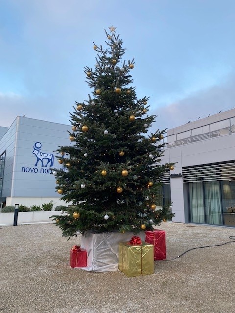 Installation du sapin de Noël chez Novo Nordisk