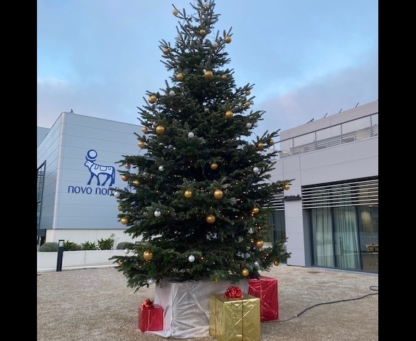 Installation du sapin de Noël chez Novo Nordisk