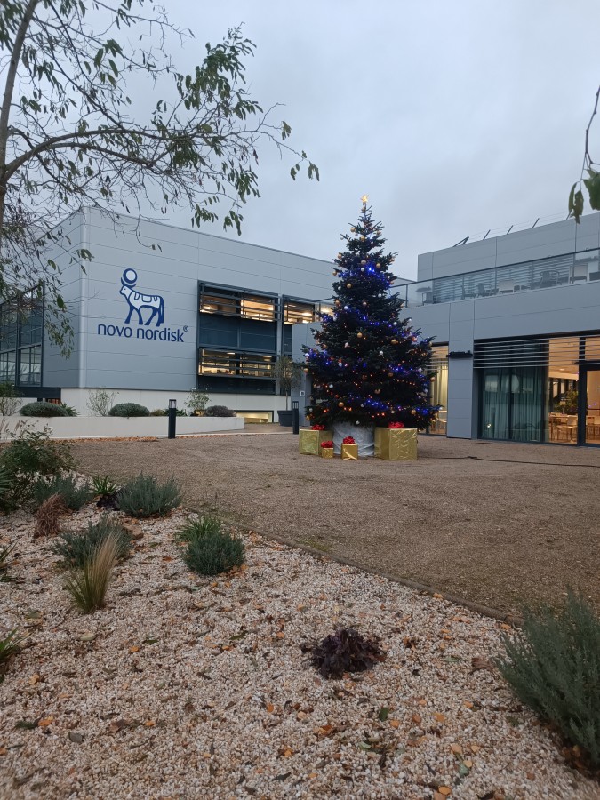 Sapin de Noël Novo Nordisk