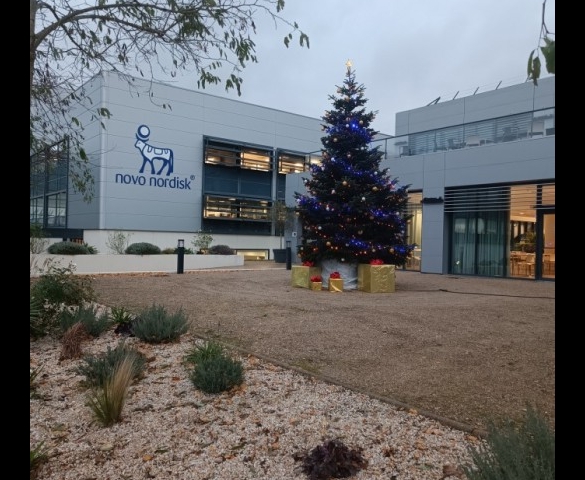 Sapin de Noël Novo Nordisk