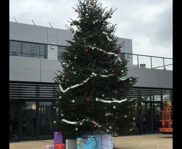 Installation du Sapin de Noël chez NOVO NORDISK